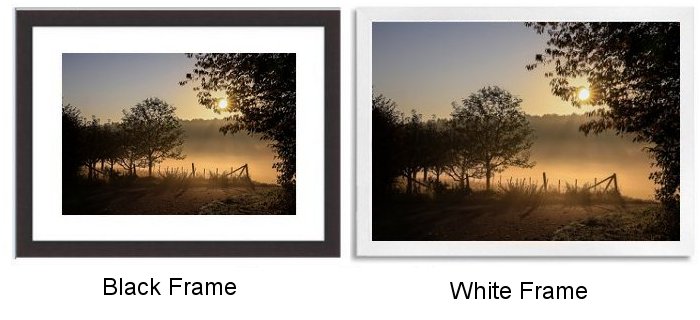 Select Your Frame Select Your Frame